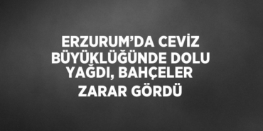 20173270792247330399tasarimli