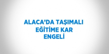 20173311262781020245tasarimli