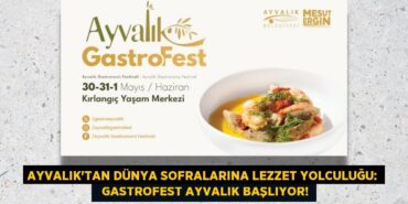 20177218702720322296tasarimli