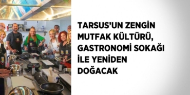 20178283733159320291