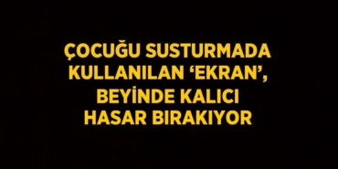 20182285512248629873tasarimli