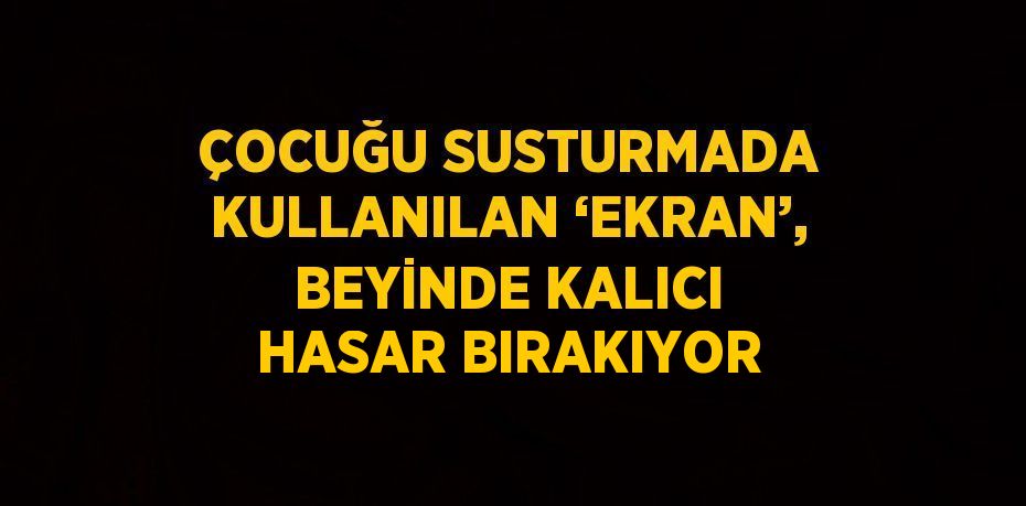 20182285512248629873tasarimli