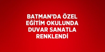 20184243492237420020tasarimli