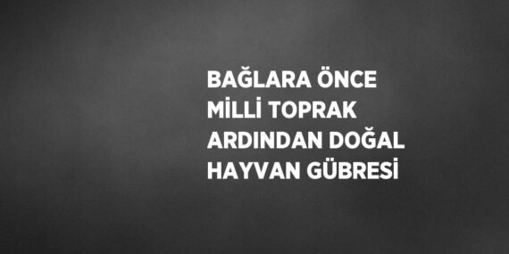 BAĞLARA ÖNCE MİLLİ TOPRAK ARDINDAN DOĞAL HAYVAN GÜBRESİ