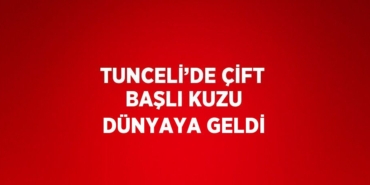 20190268222398022295tasarimli
