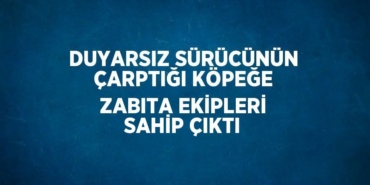 20197273112294424003tasarimli