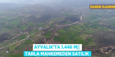 20198250352078820320tasarimli