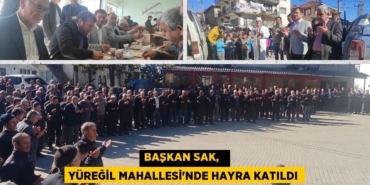 20198284302464630110tasarimli