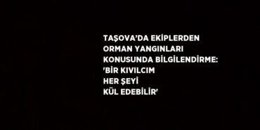 20201218552393525389