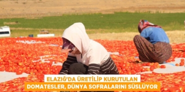 20202260253183128839tasarimli