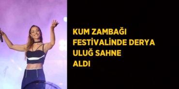 20203212412588331197