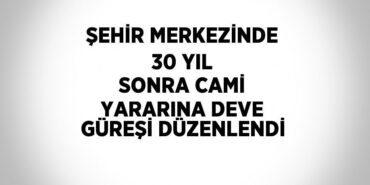 20209253402175327461tasarimli