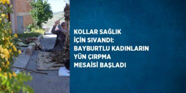 20210242602766131852