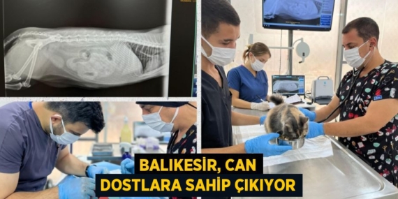 BALIKESİR, CAN DOSTLARA SAHİP ÇIKIYOR
