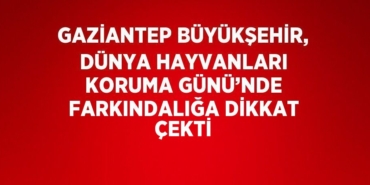 20218295002914520022tasarimli