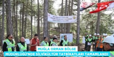 20219278522288729595tasarimli