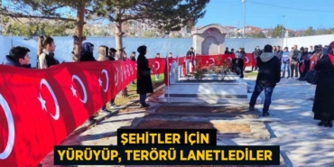 20222274043118625387tasarimli