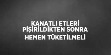 20239240873067325275tasarimli