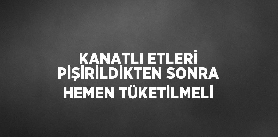 20239240873067325275tasarimli