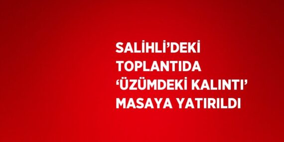 SALİHLİ’DEKİ TOPLANTIDA ‘ÜZÜMDEKİ KALINTI’ MASAYA YATIRILDI