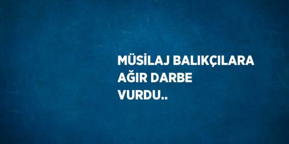MÜSİLAJ BALIKÇILARA AĞIR DARBE VURDU..