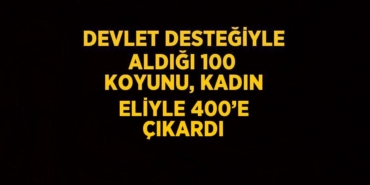 20260252512934520752tasarimli