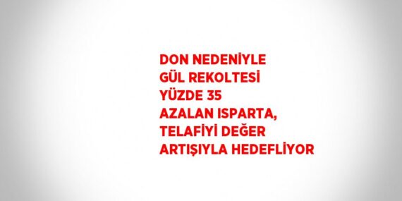 DON NEDENİYLE GÜL REKOLTESİ YÜZDE 35 AZALAN ISPARTA, TELAFİYİ DEĞER ARTIŞIYLA HEDEFLİYOR