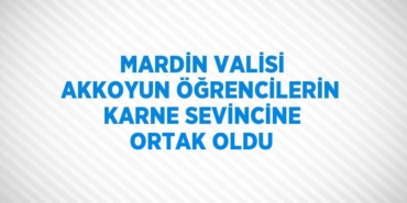 20265238813151130139tasarimli