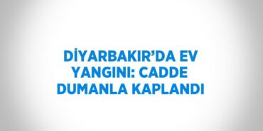 20268207412642731107tasarimli