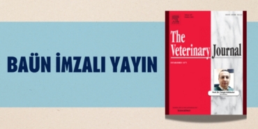 20278287583073921283