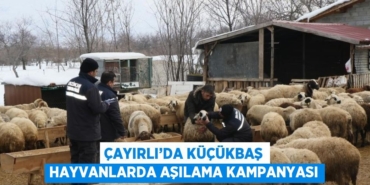 20280282973128728963tasarimli