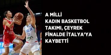 20299246532543728323