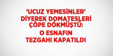 20299301842355628363tasarimli