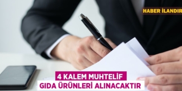 20300291312312131305tasarimli