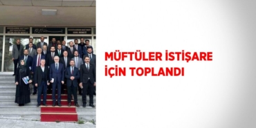 20309235152058420594