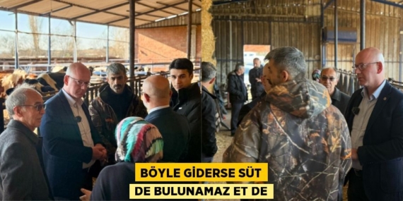 BÖYLE GİDERSE SÜT DE BULUNAMAZ ET DE
