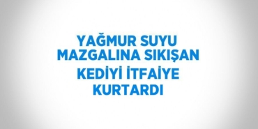 20335244532445020228tasarimli