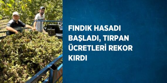 FINDIK HASADI BAŞLADI, TIRPAN ÜCRETLERİ REKOR KIRDI