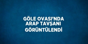 20354219452940321137tasarimli