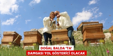 20370209422787821818tasarimli