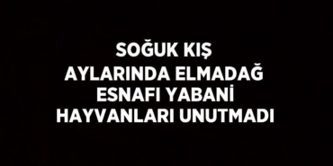 20372284322212126280tasarimli