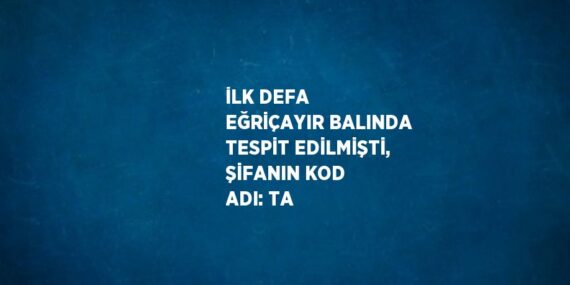 İLK DEFA EĞRİÇAYIR BALINDA TESPİT EDİLMİŞTİ, ŞİFANIN KOD ADI: TA