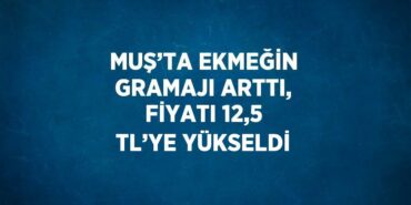 20381268002453730717tasarimli