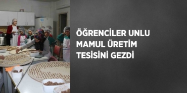 20391272582108528608