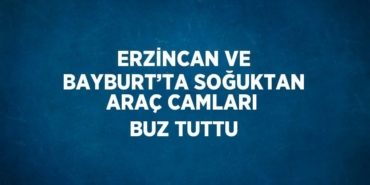 20393301872283725967tasarimli