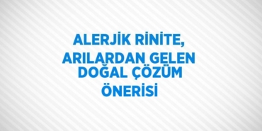 20397269682500223104tasarimli