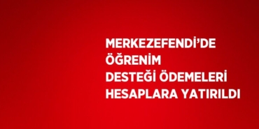 20398268882591326824