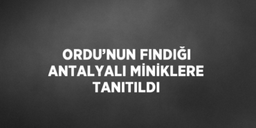 20410243882081331459tasarimli