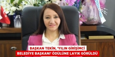 20412216822585931270tasarimli