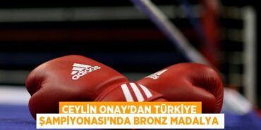 20416245162952827742tasarimli